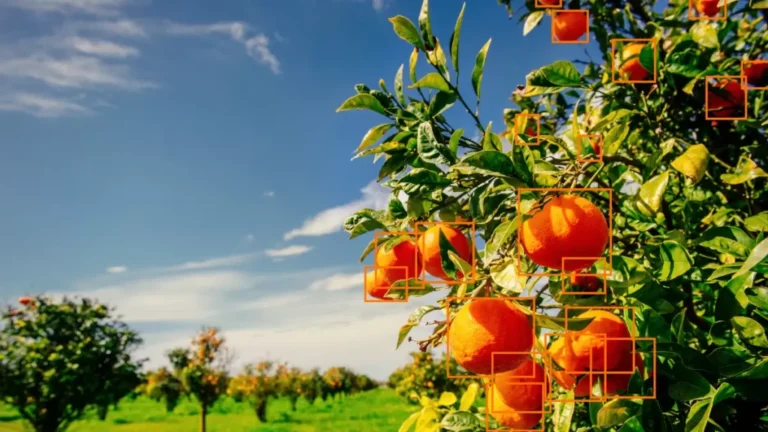 Advanced Video Analytics | CCTV Technologies | Faircape Group